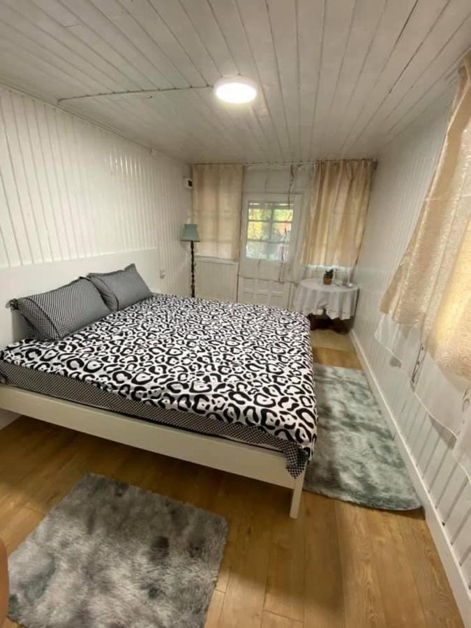 Casa Parvu Hotel Lunca Mare ภายนอก รูปภาพ