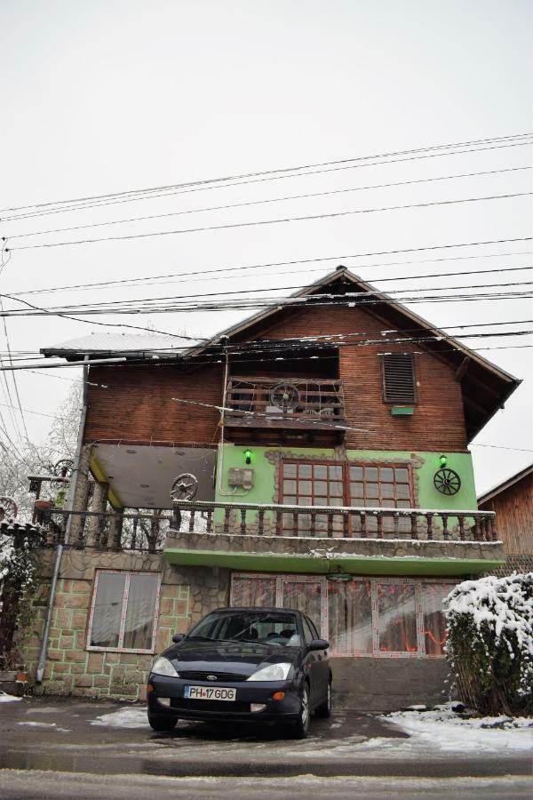 Casa Parvu Hotel Lunca Mare ภายนอก รูปภาพ