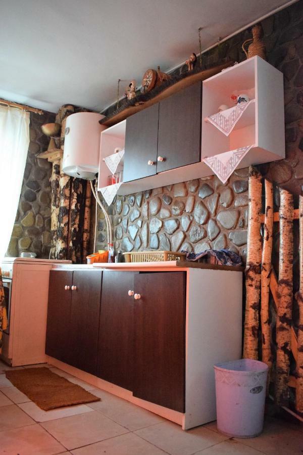 Casa Parvu Hotel Lunca Mare ภายนอก รูปภาพ