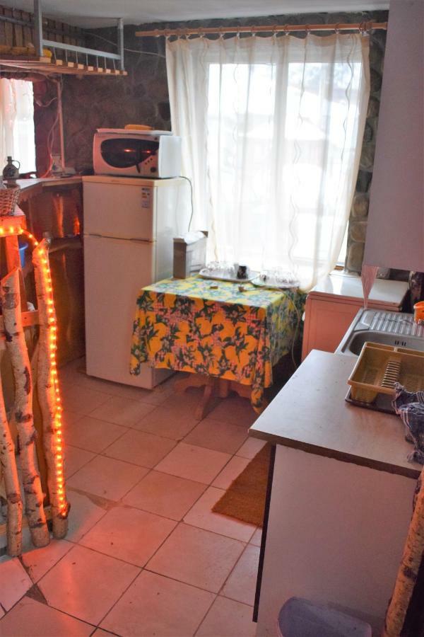 Casa Parvu Hotel Lunca Mare ภายนอก รูปภาพ